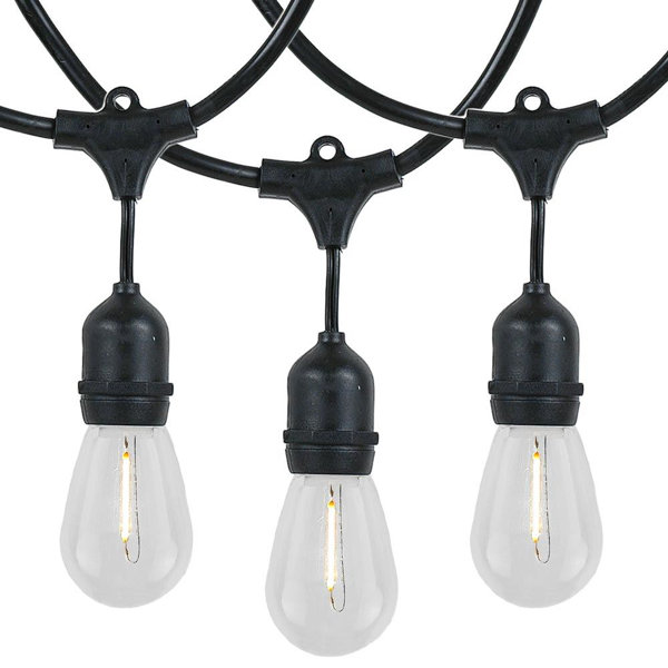 Symple Stuff 48'' Outdoor 24 Bulb Standard String Light (End to End